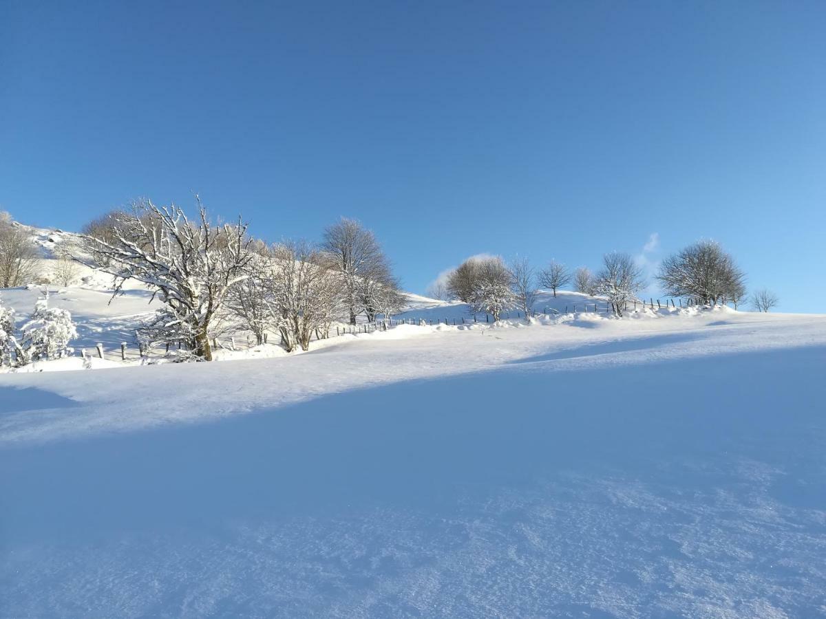 Gites De Moyenmont La Bresse Buitenkant foto